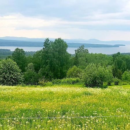 Utsikten -Exklusivt Nybyggt Timmerhus -Plintsberg. Tällberg Exteriör bild