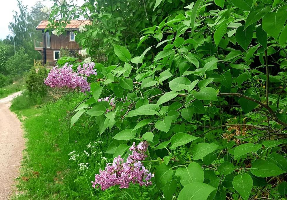 Utsikten -Exklusivt Nybyggt Timmerhus -Plintsberg. Tällberg Exteriör bild