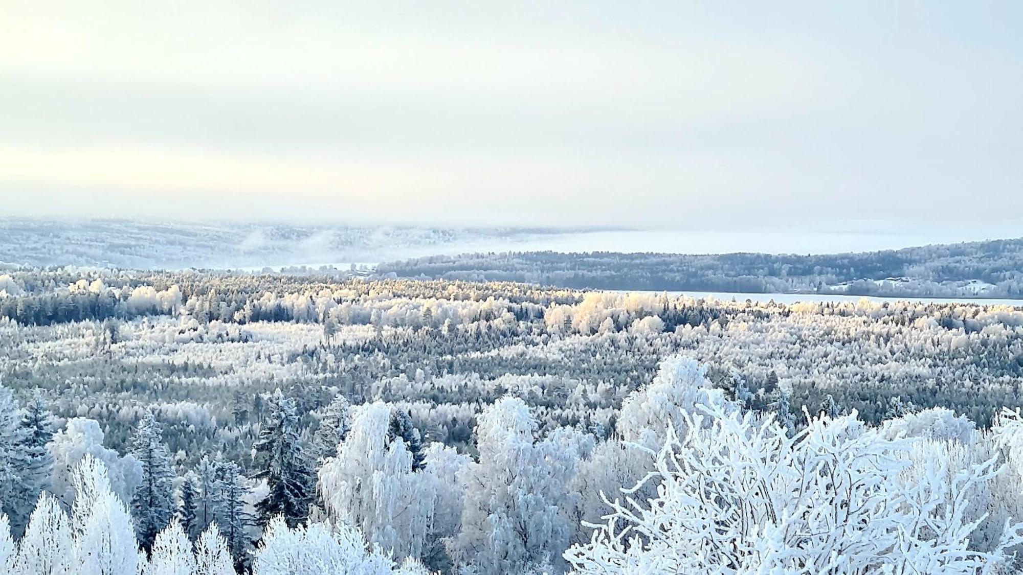 Utsikten -Exklusivt Nybyggt Timmerhus -Plintsberg. Tällberg Exteriör bild